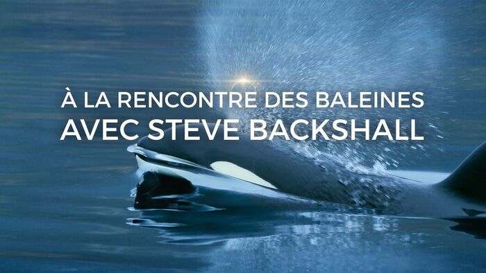 Les rescapées des océans