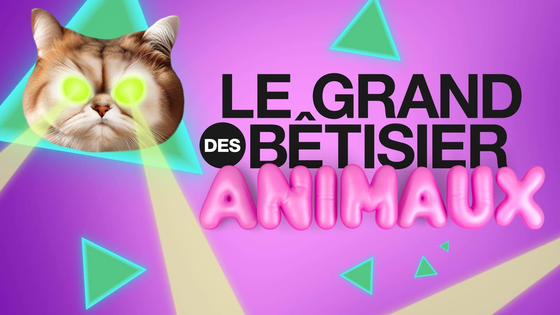 Le grand bêtisier des animaux