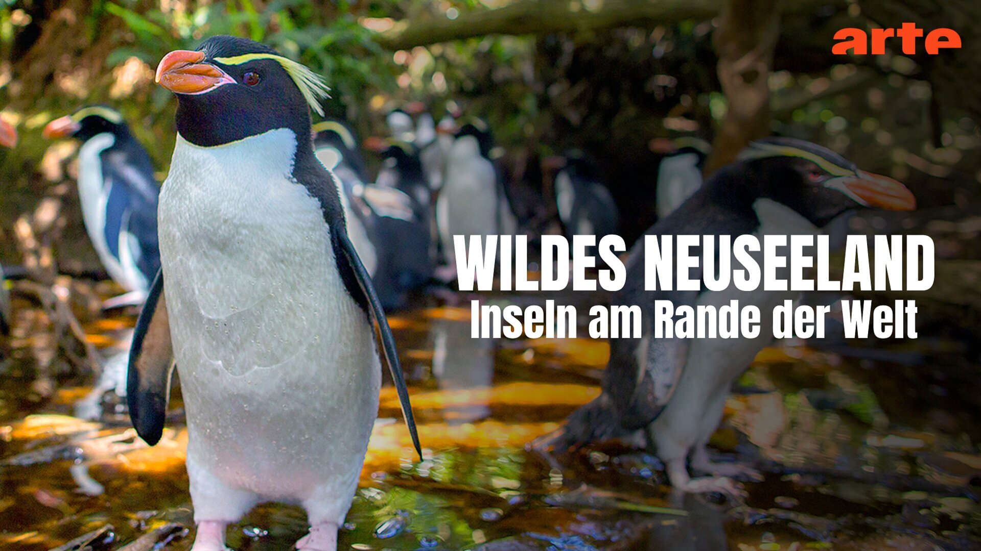 Les îles du bout du monde