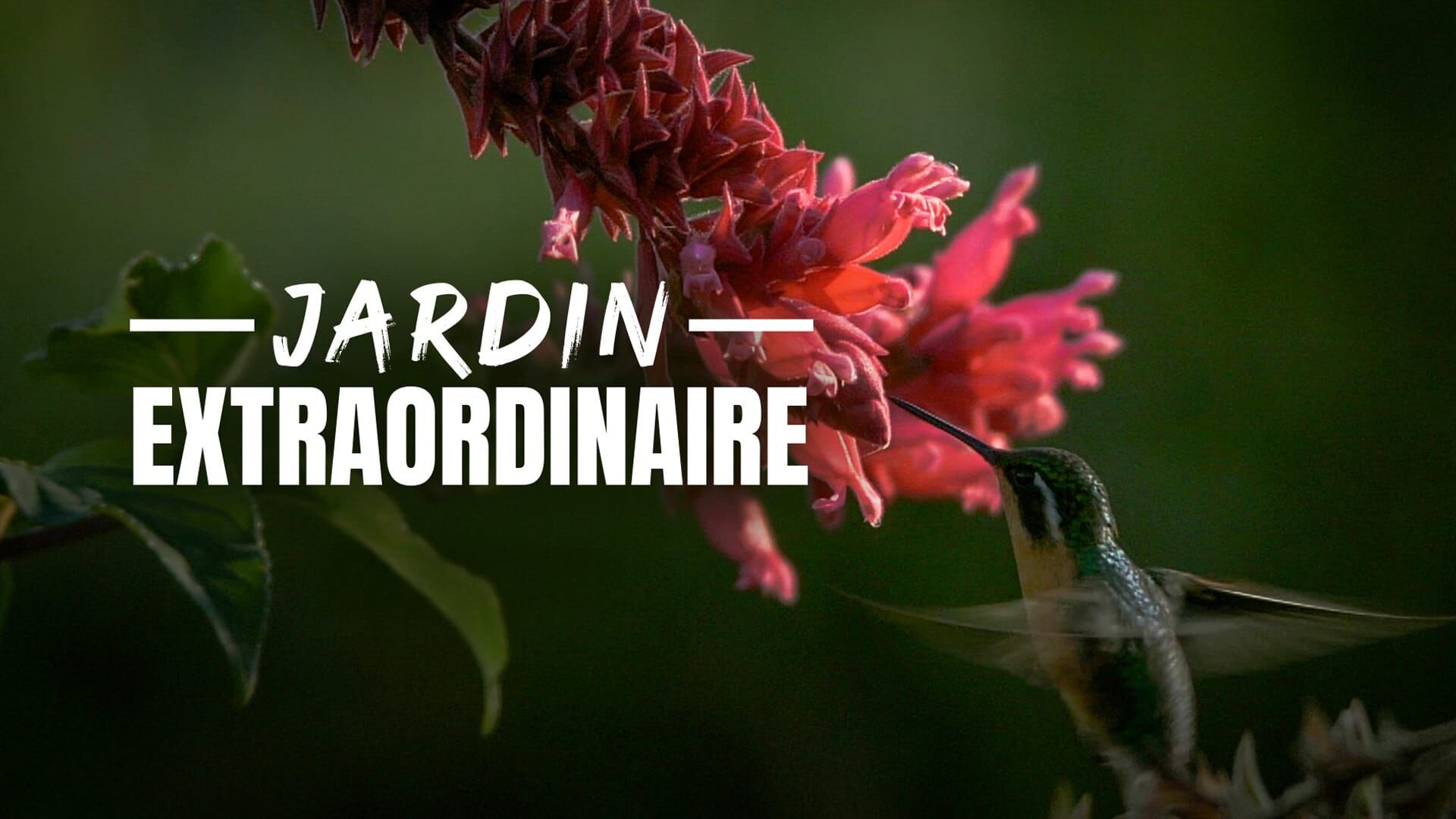 60 ans pour raconter la nature