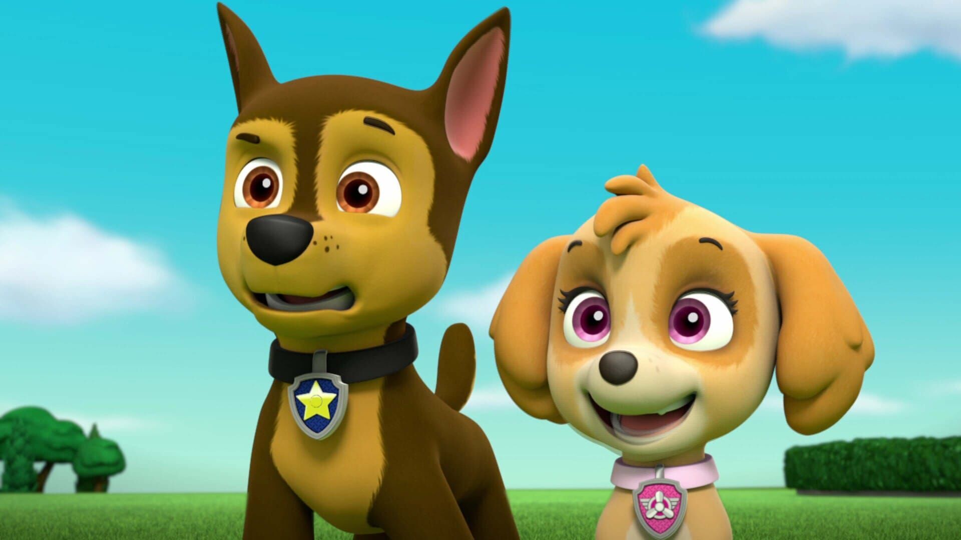 Le bébé Pingouin / Le spectacle des chats