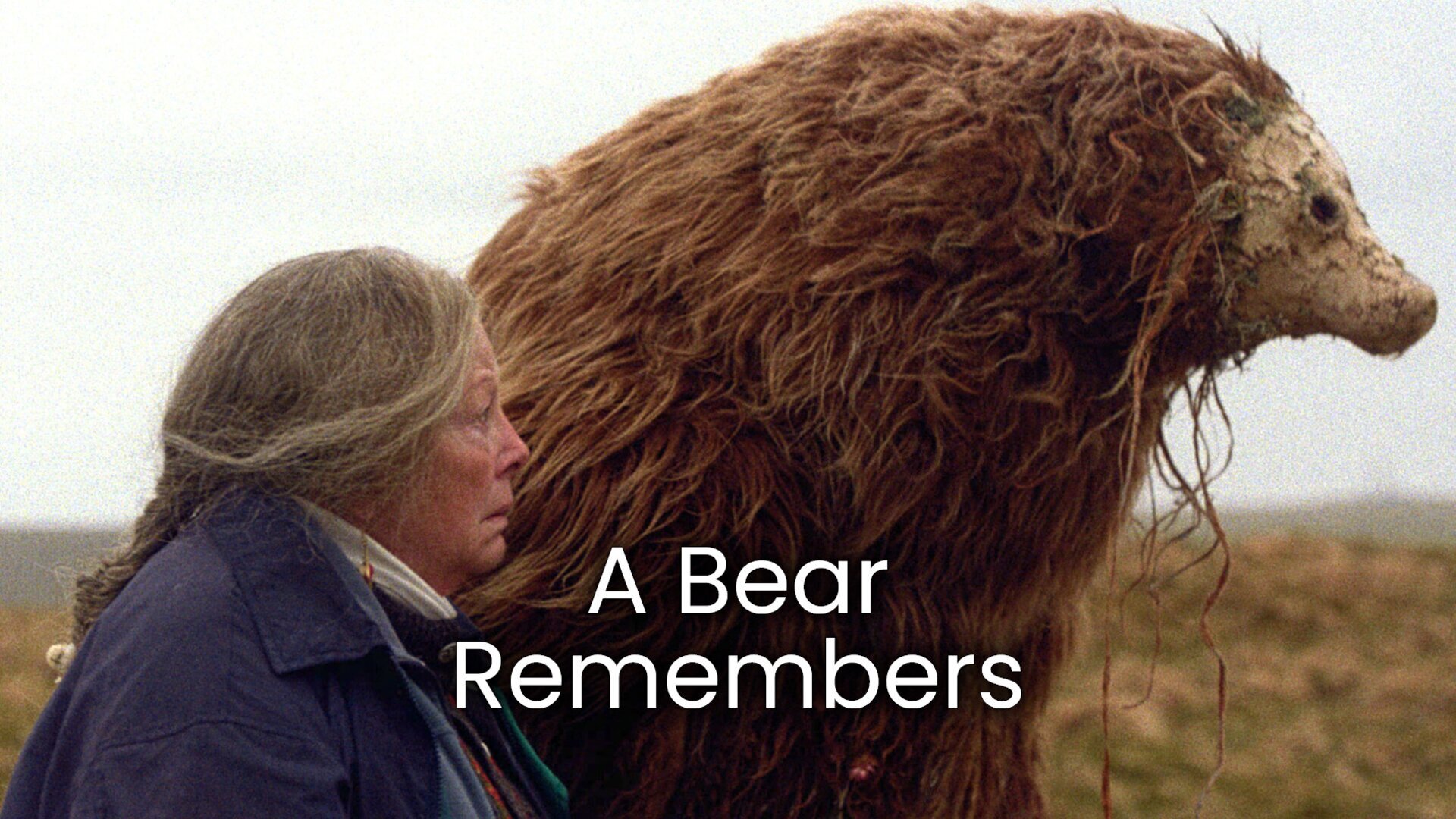 A Bear Remembers