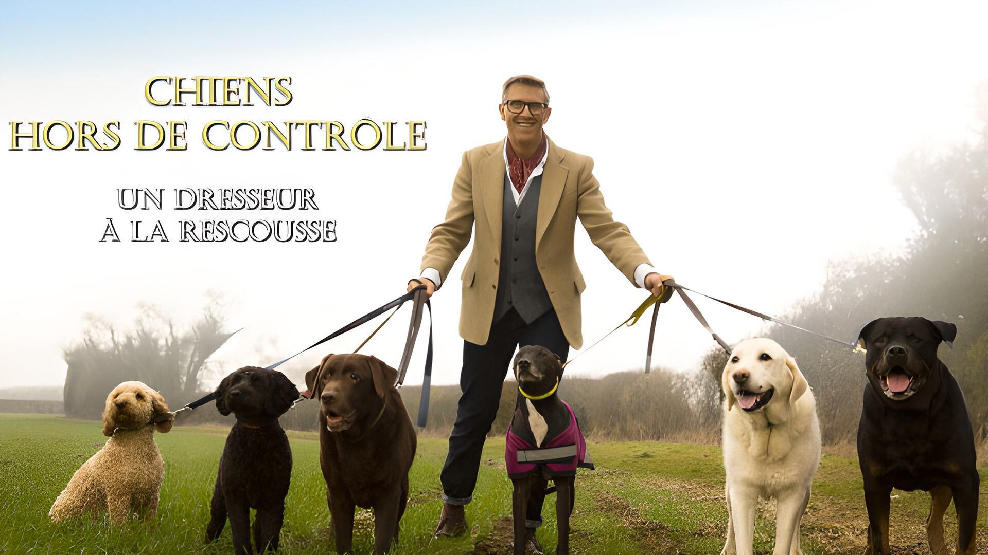 Attention chien collant