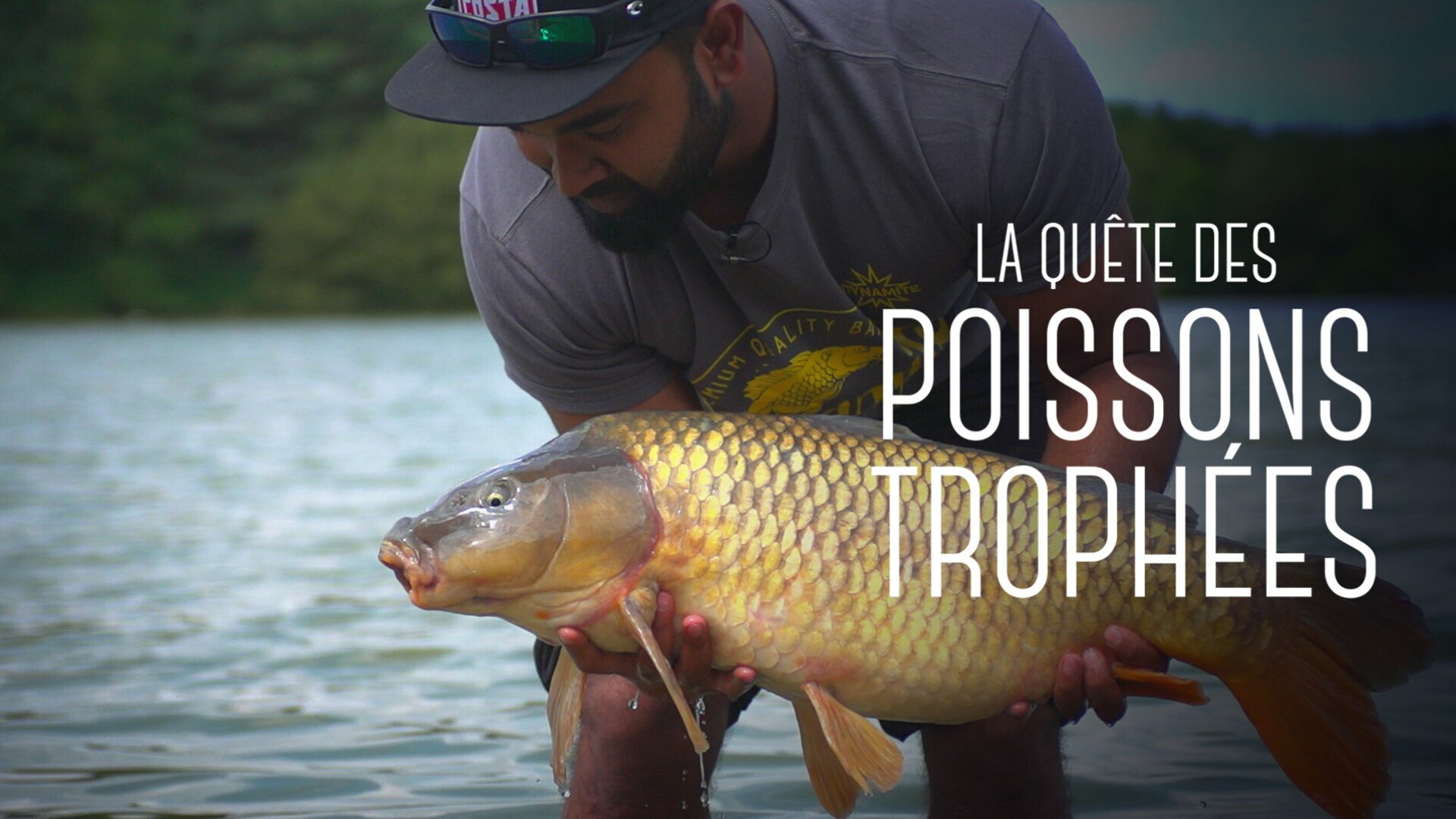 Les Carnassiers