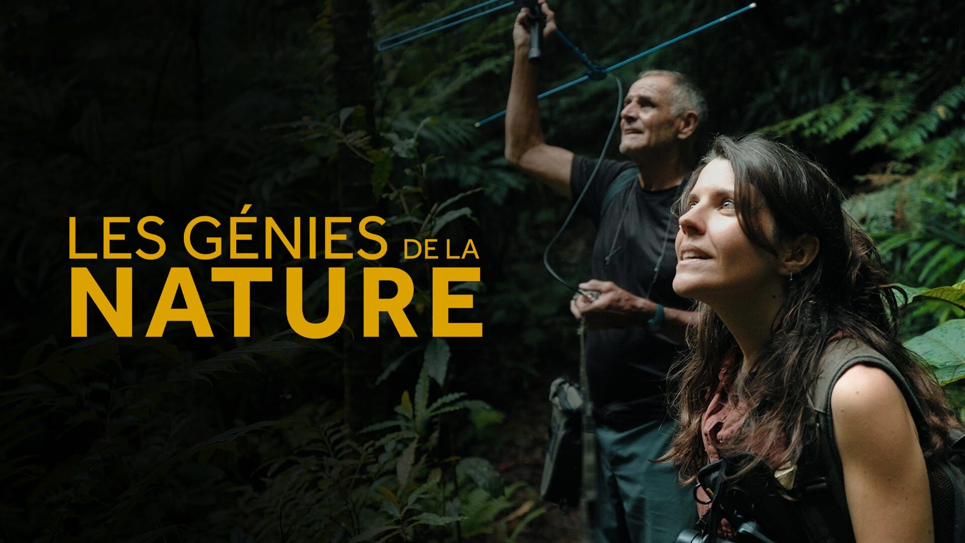 En Nouvelle-Calédonie