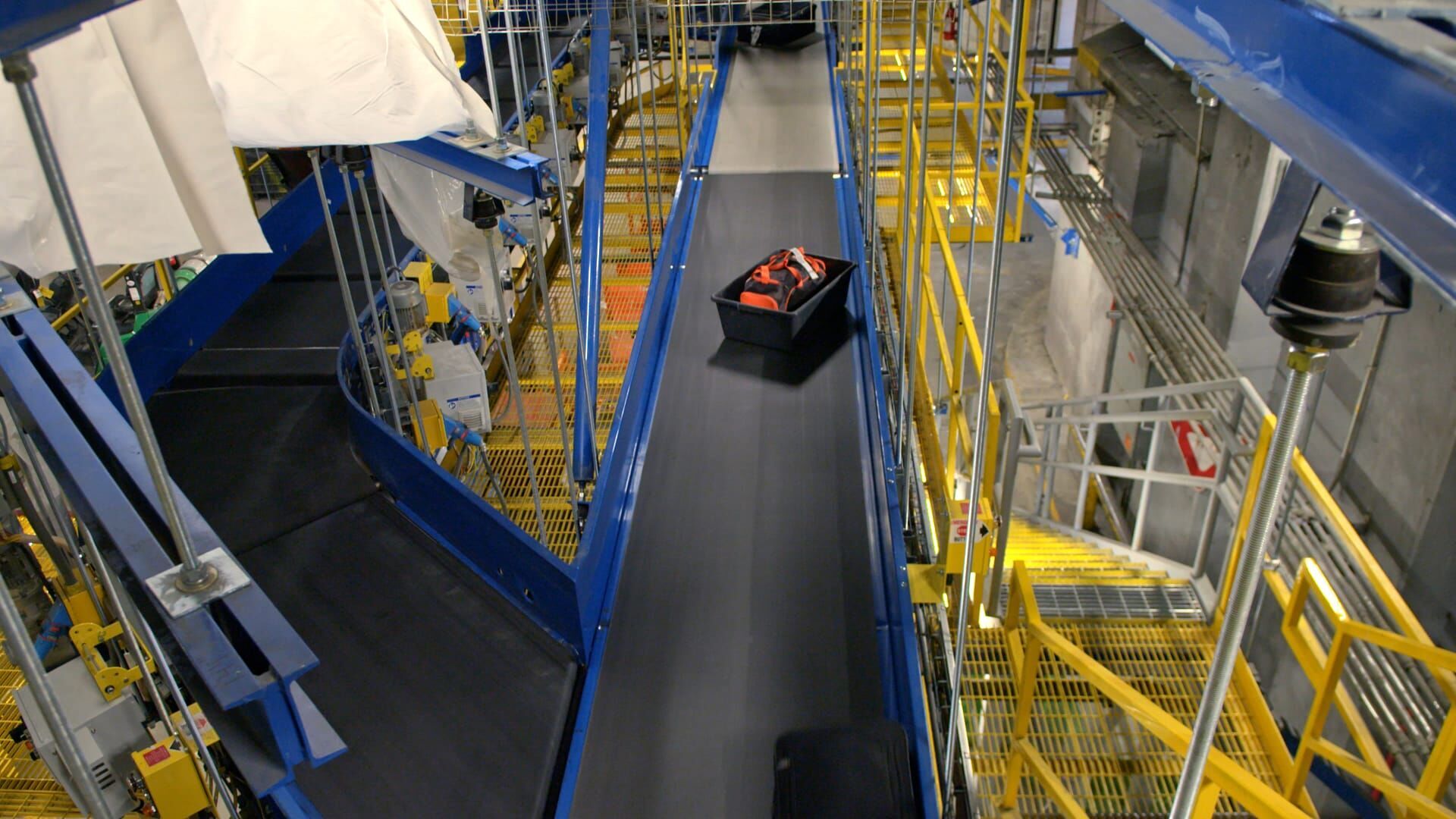 Rocky le chien et des raquettes de tennis vintage