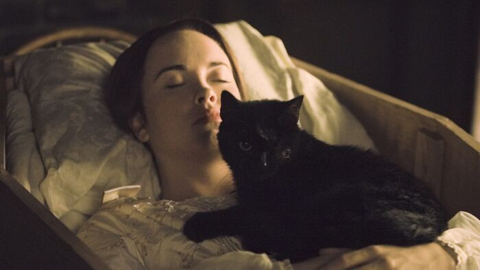 Le chat noir