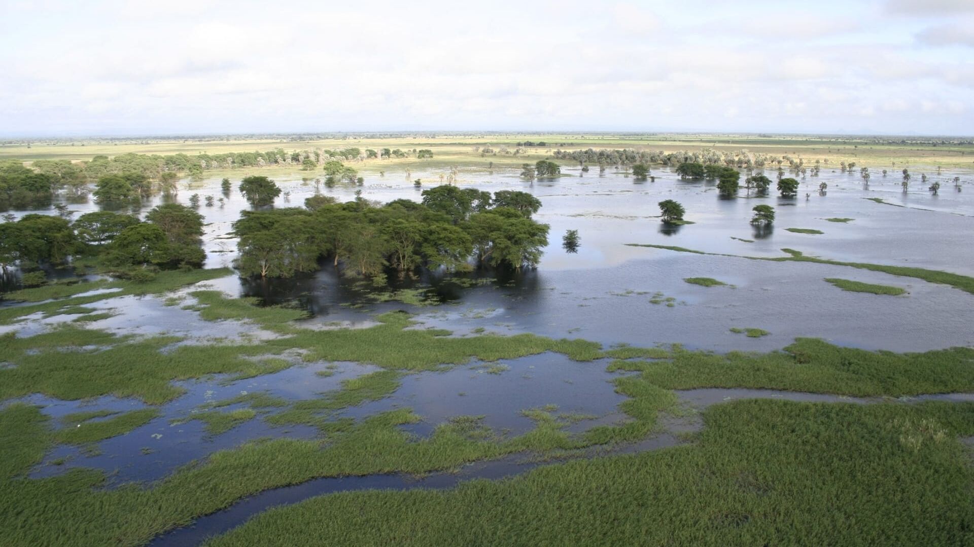 Le paradis perdu d'Afrique