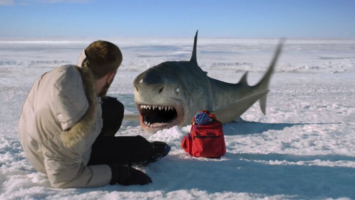 Ice sharks : requins des glaces