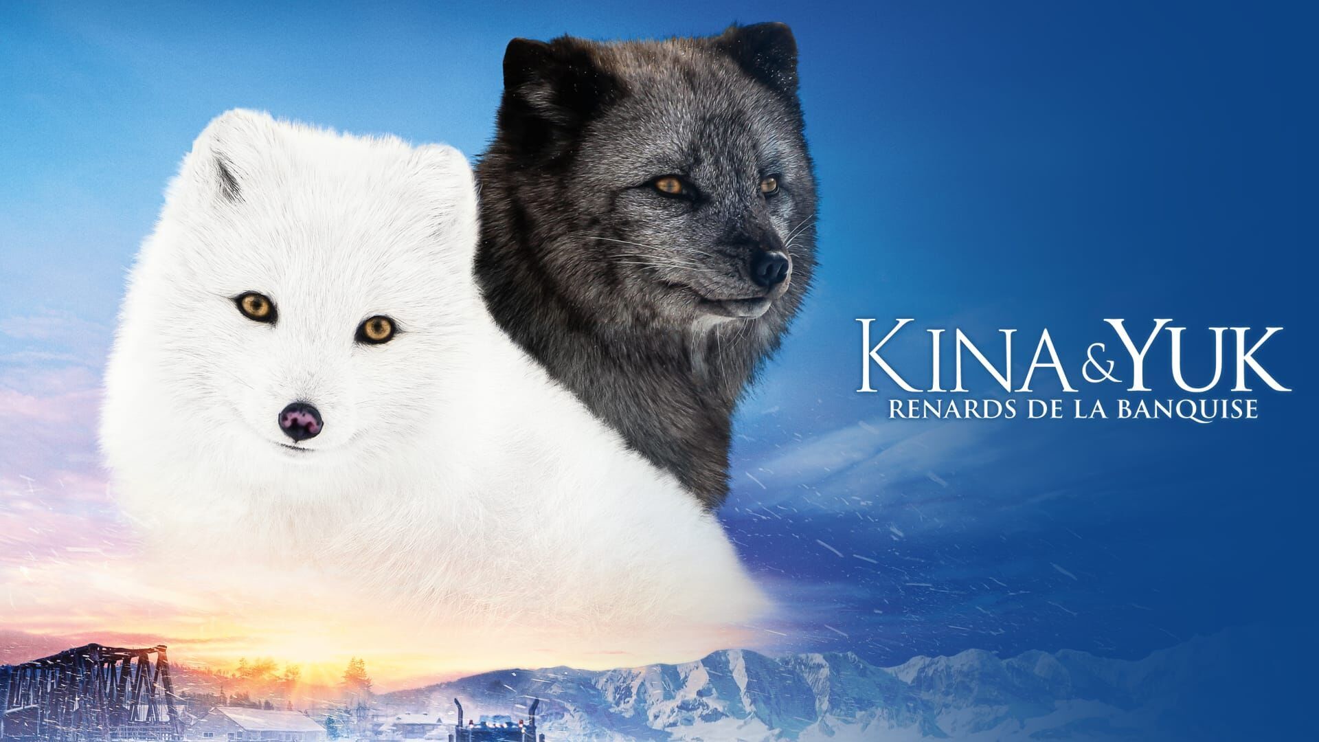 Kina & Yuk : renards de la banquise