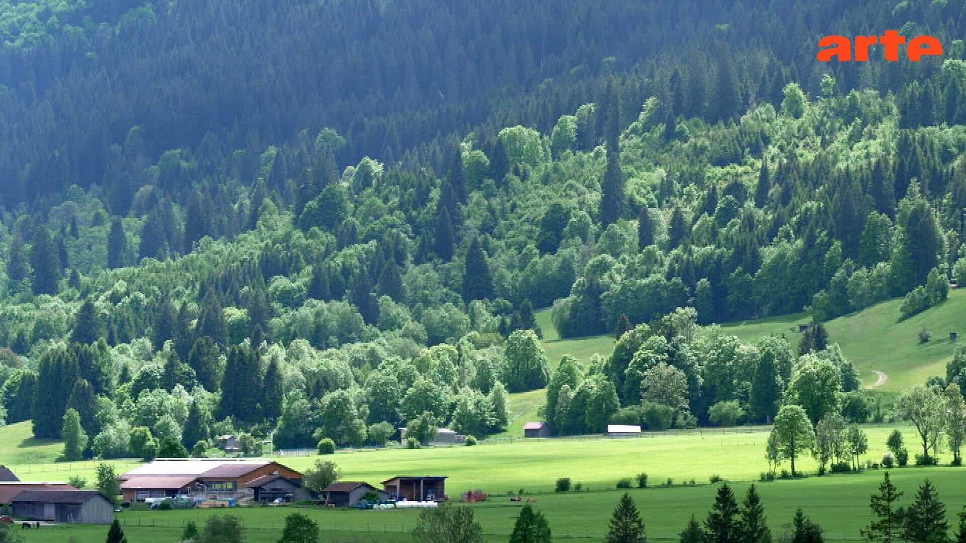 Invitation au voyage