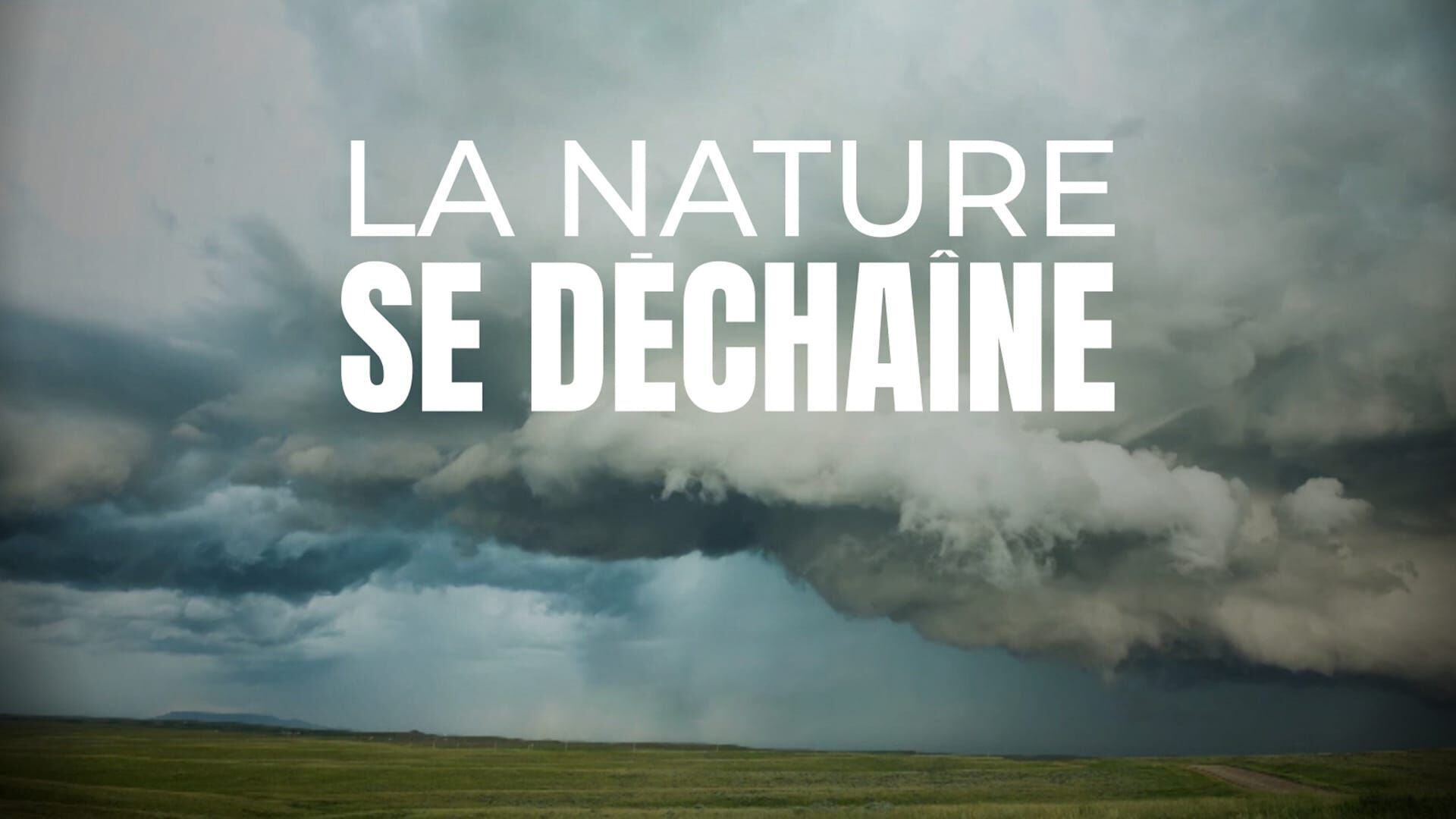 Cumbre Vieja, l'éruption perpétuelle