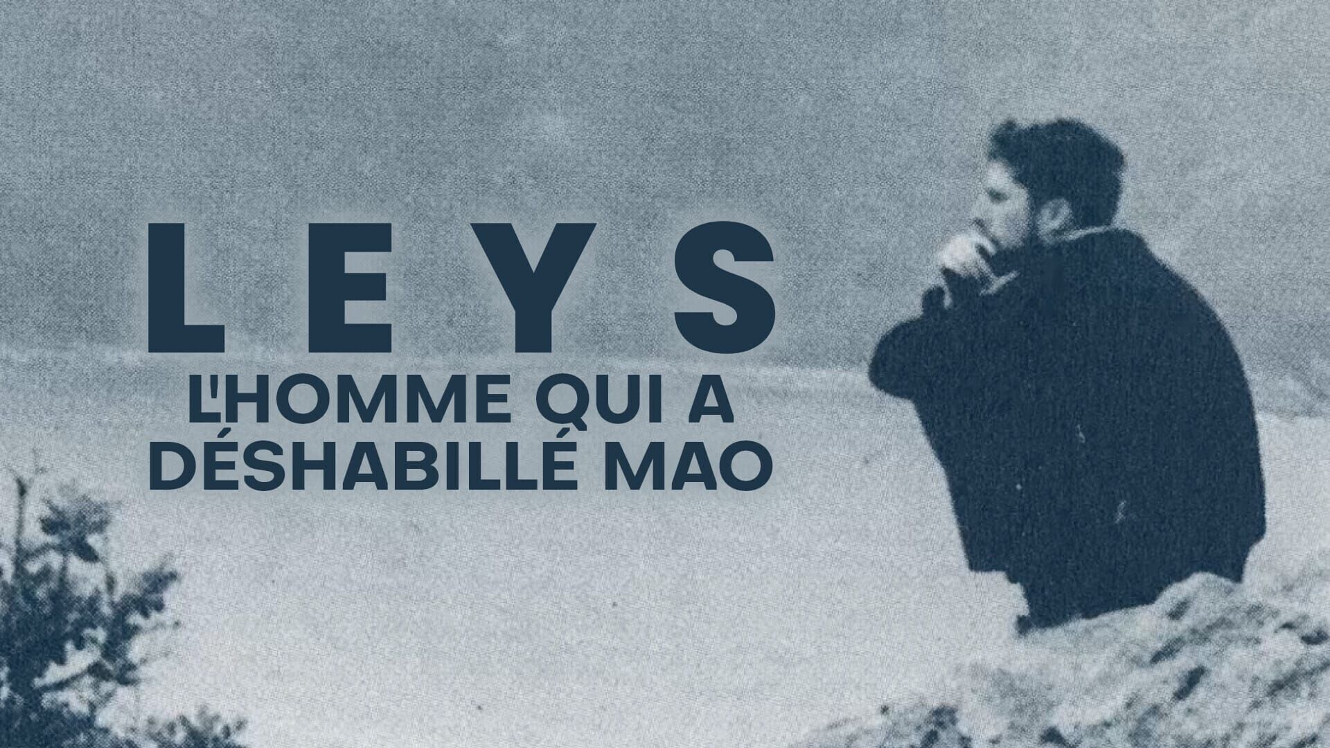 Leys, l'homme qui a déshabillé Mao