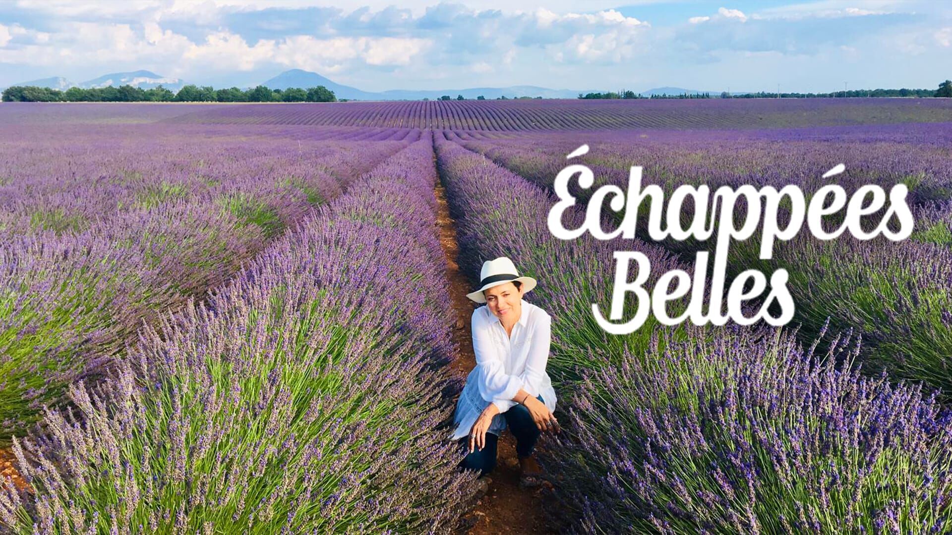 La Provence gourmande