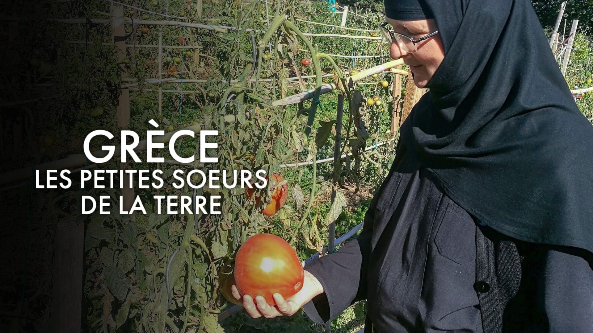 Grèce, les petites soeurs de la terre