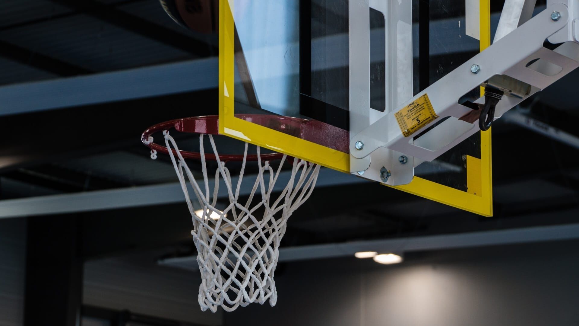 Basket-ball : Euroligue masculine