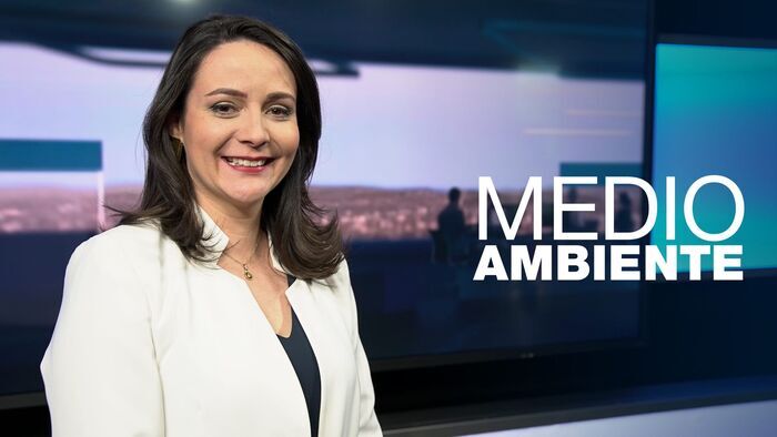 Medio ambiente