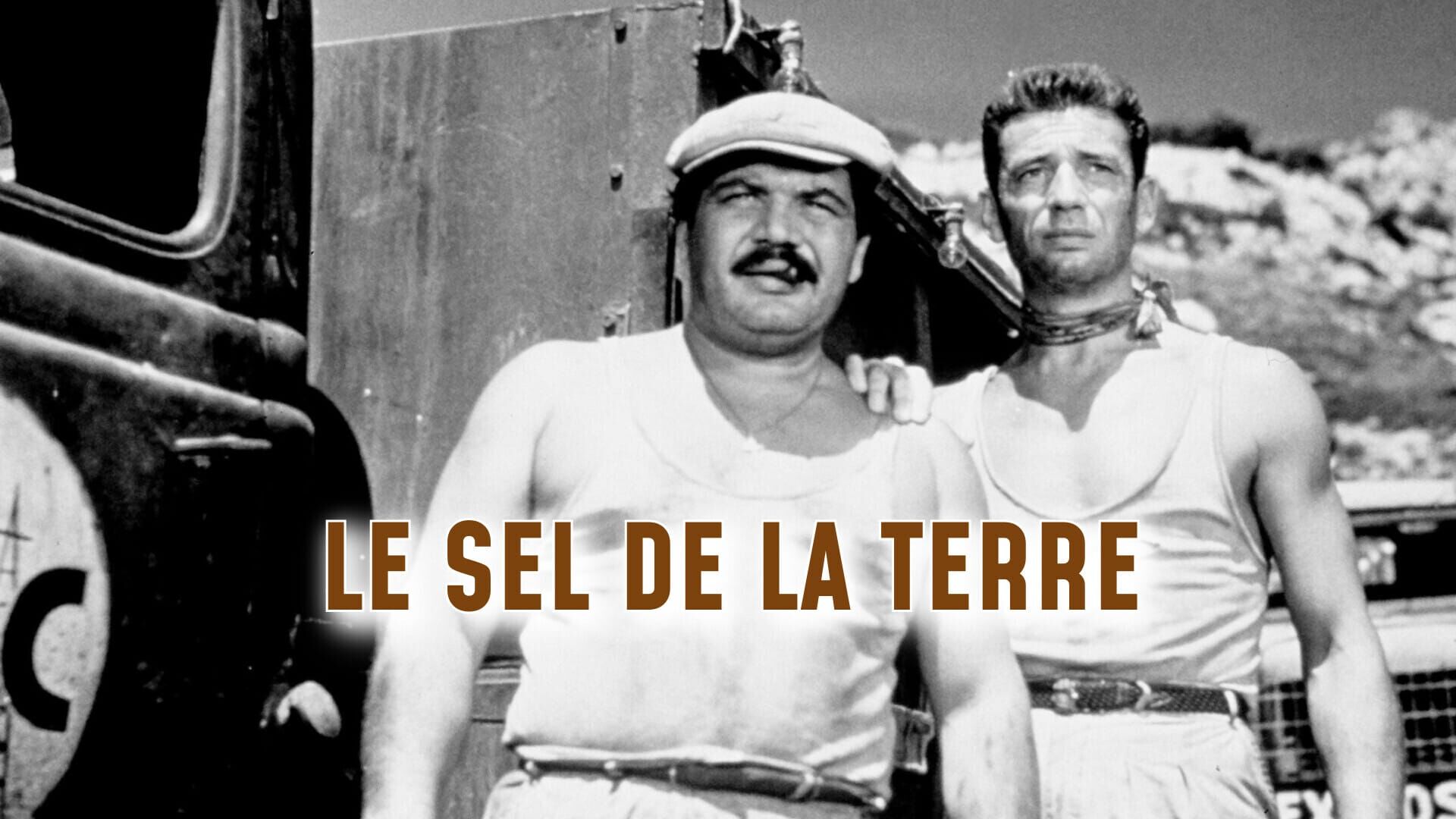 Le sel de la terre