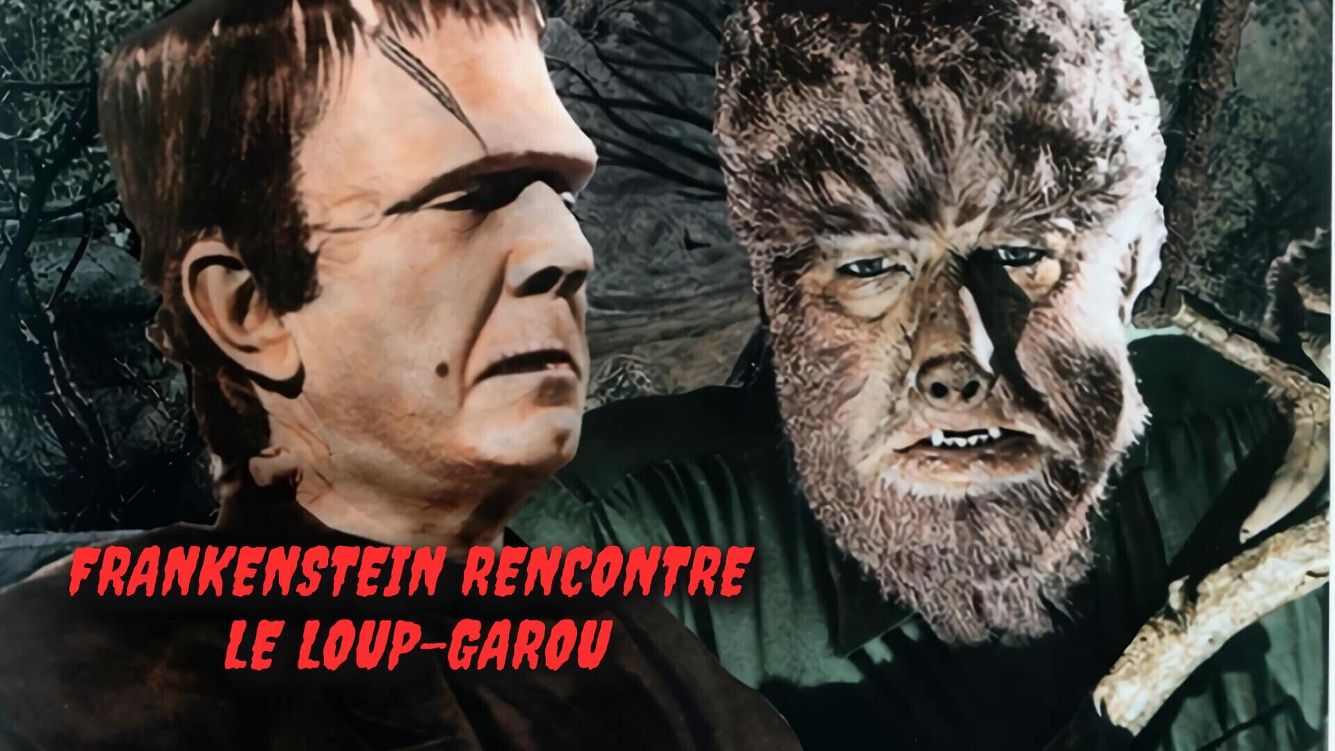 Frankenstein rencontre le loup-garou