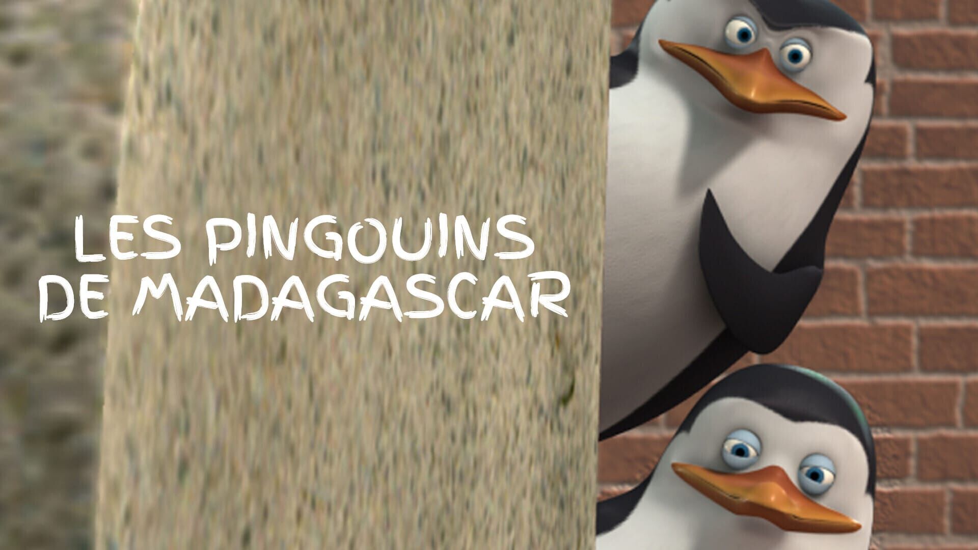 Le pingouin qui m'aimait