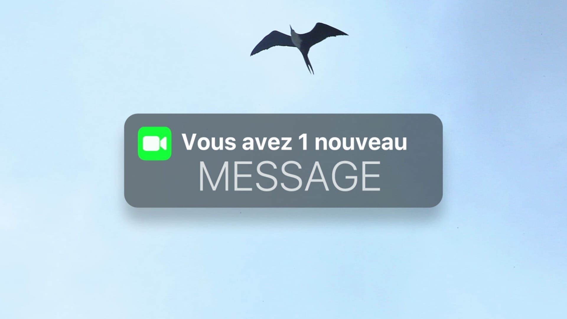 Eunice Richards-Pillot : "Les terres noyées" 1/5