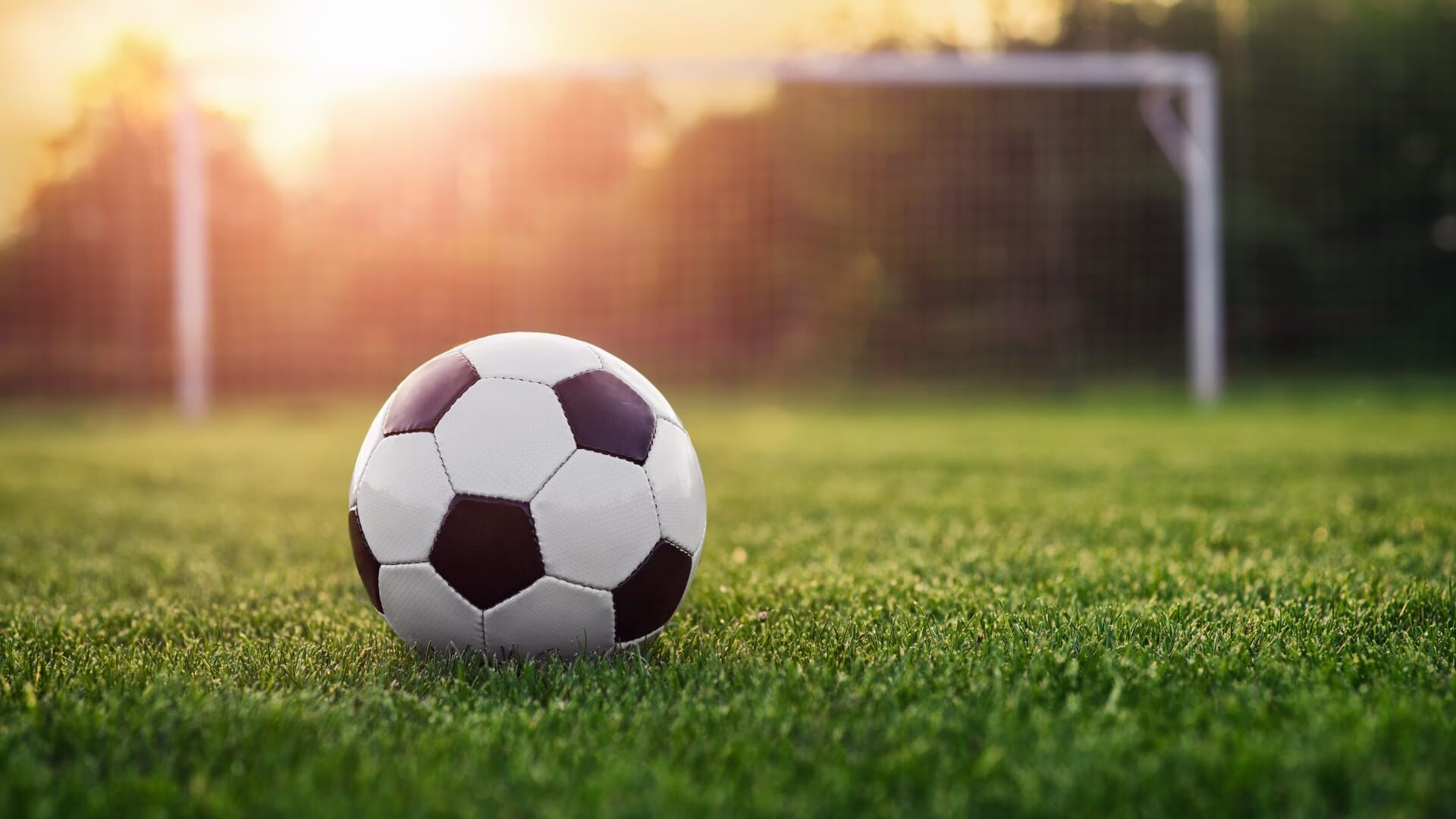 Football : Euro U19