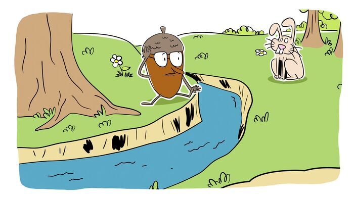 La restauration des forêts