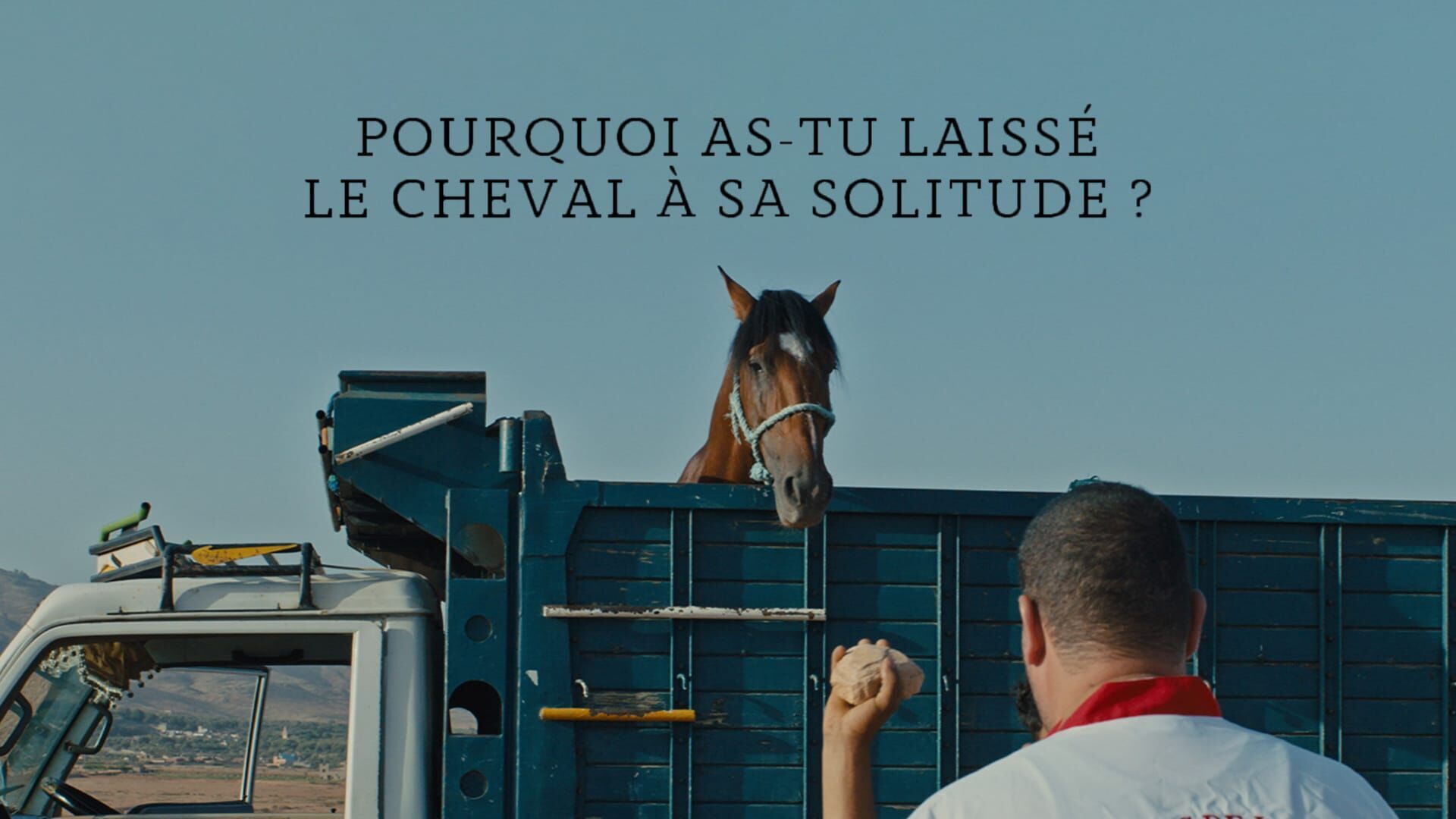 Pourquoi as-tu laissé le cheval à sa solitude ?