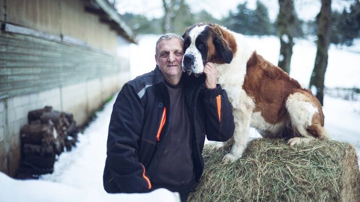 L'amour est dans le pré