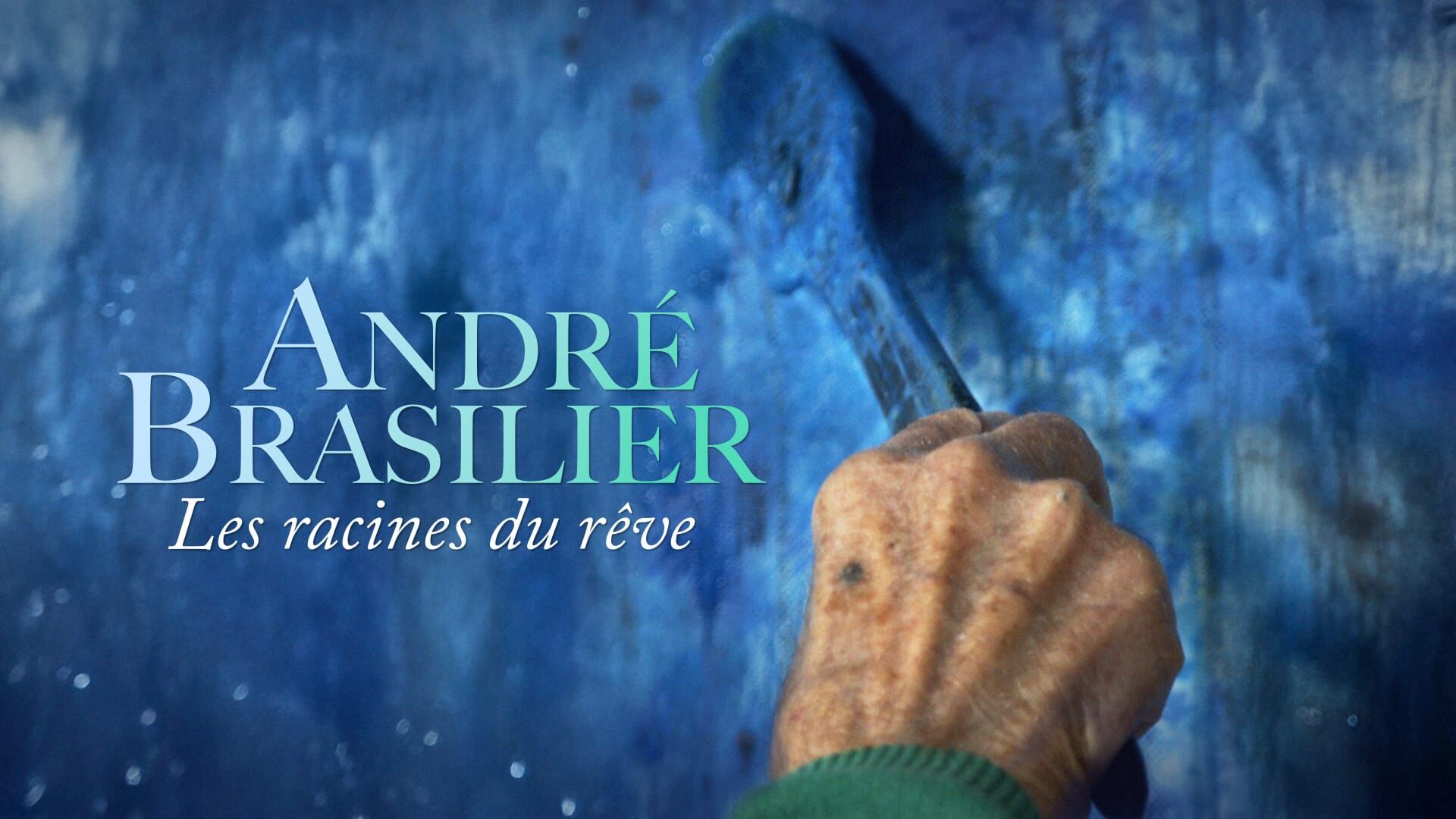 André Brasilier - Les racines du rêve