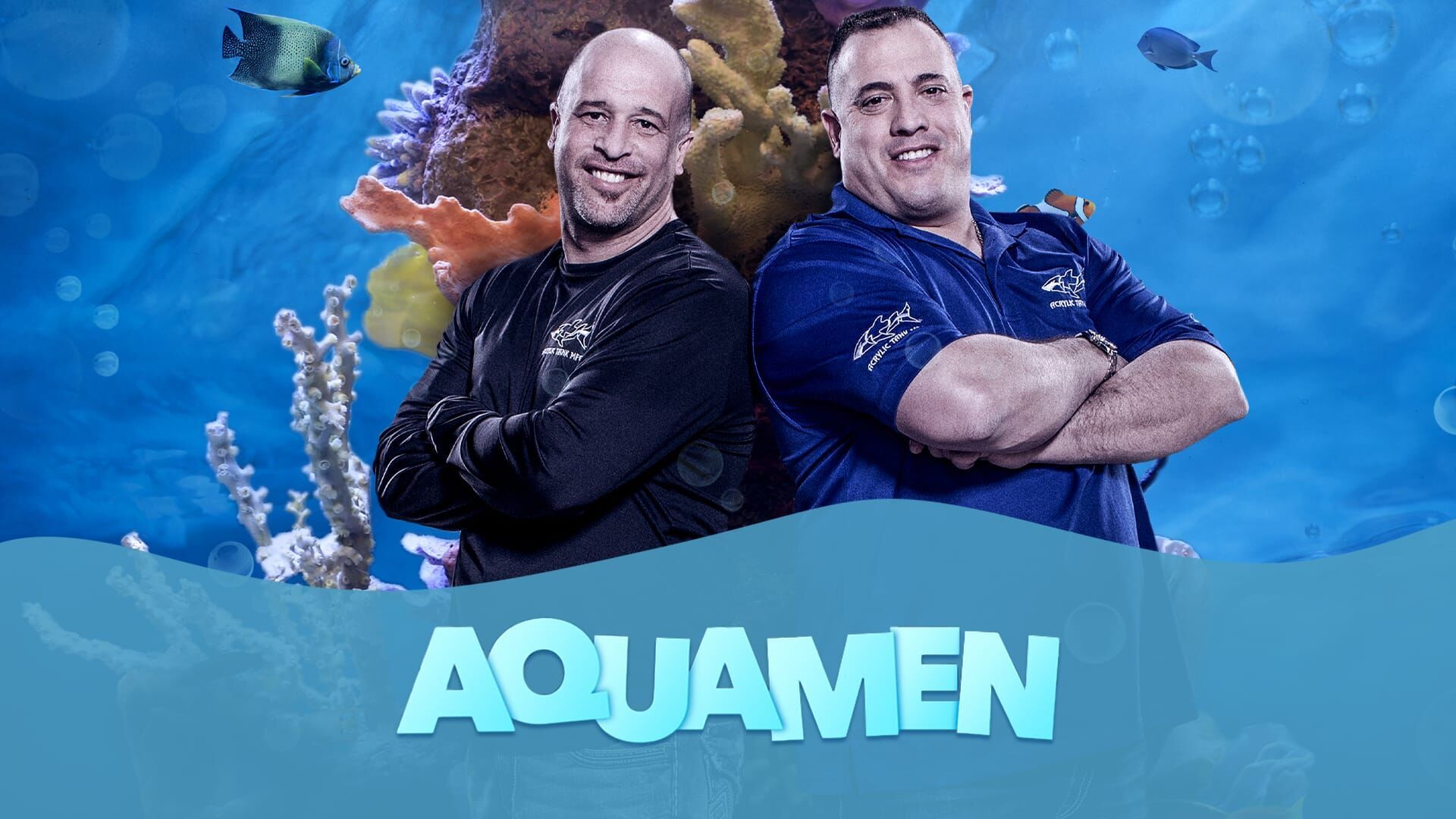 Des requins pour les Sharks