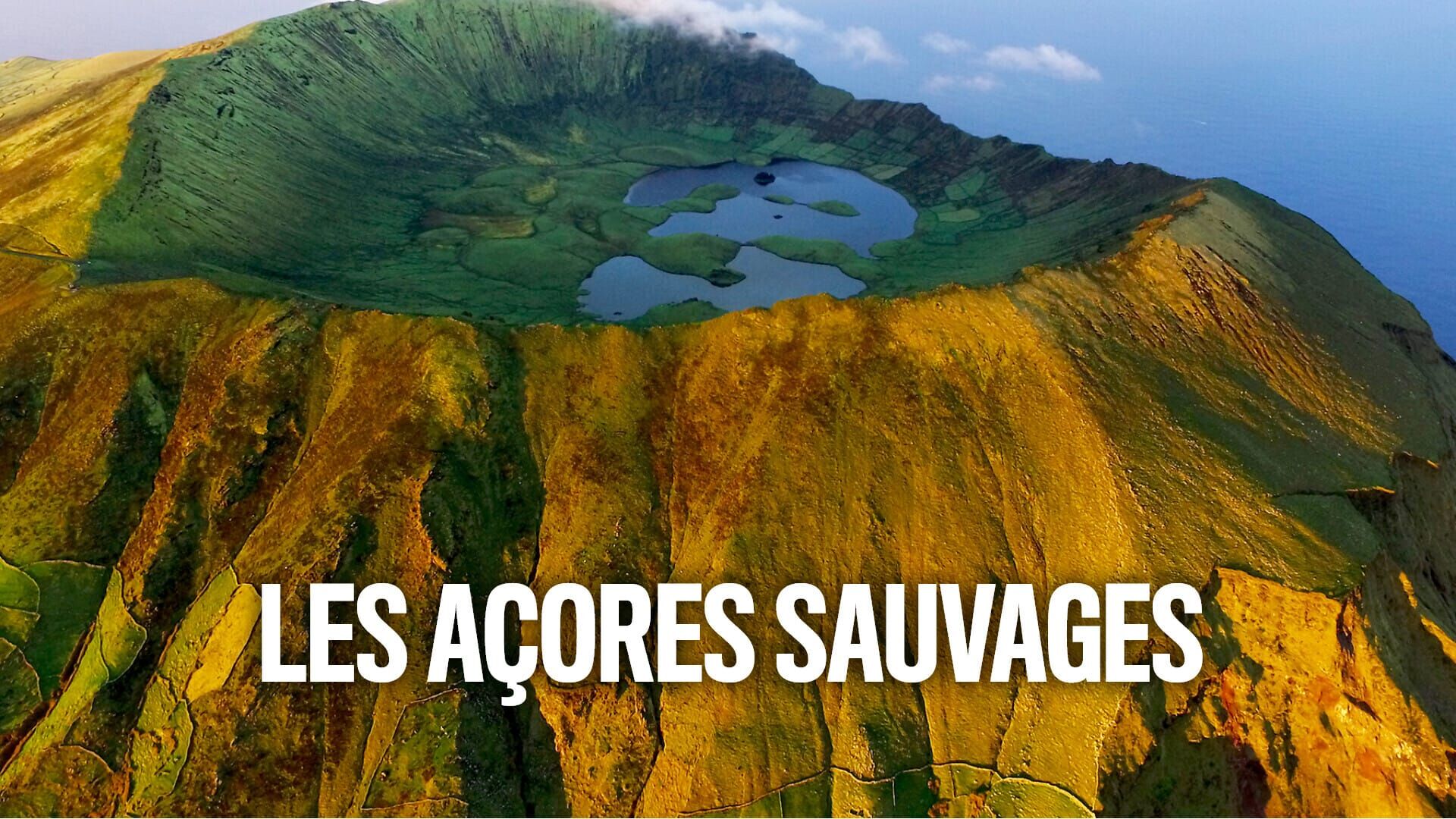 Les Açores sauvages