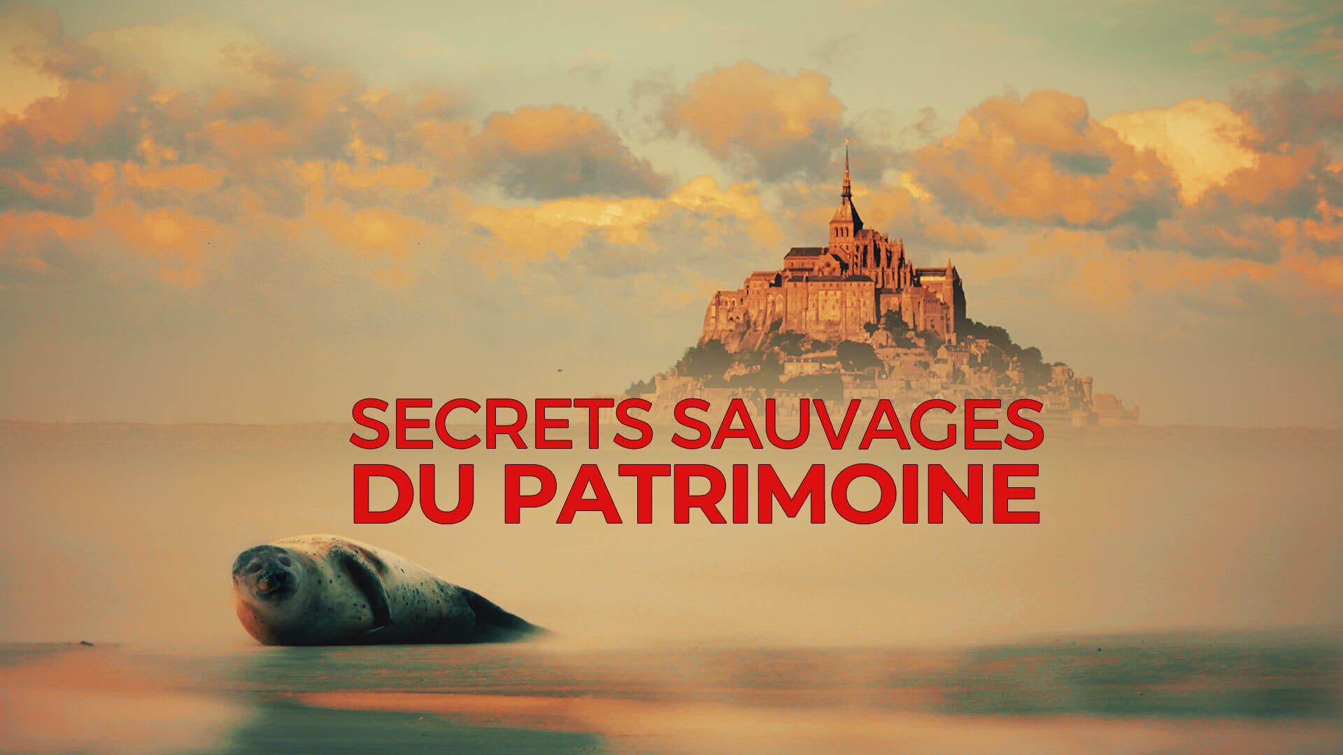 Pic du Midi, la sentinelle des sommets