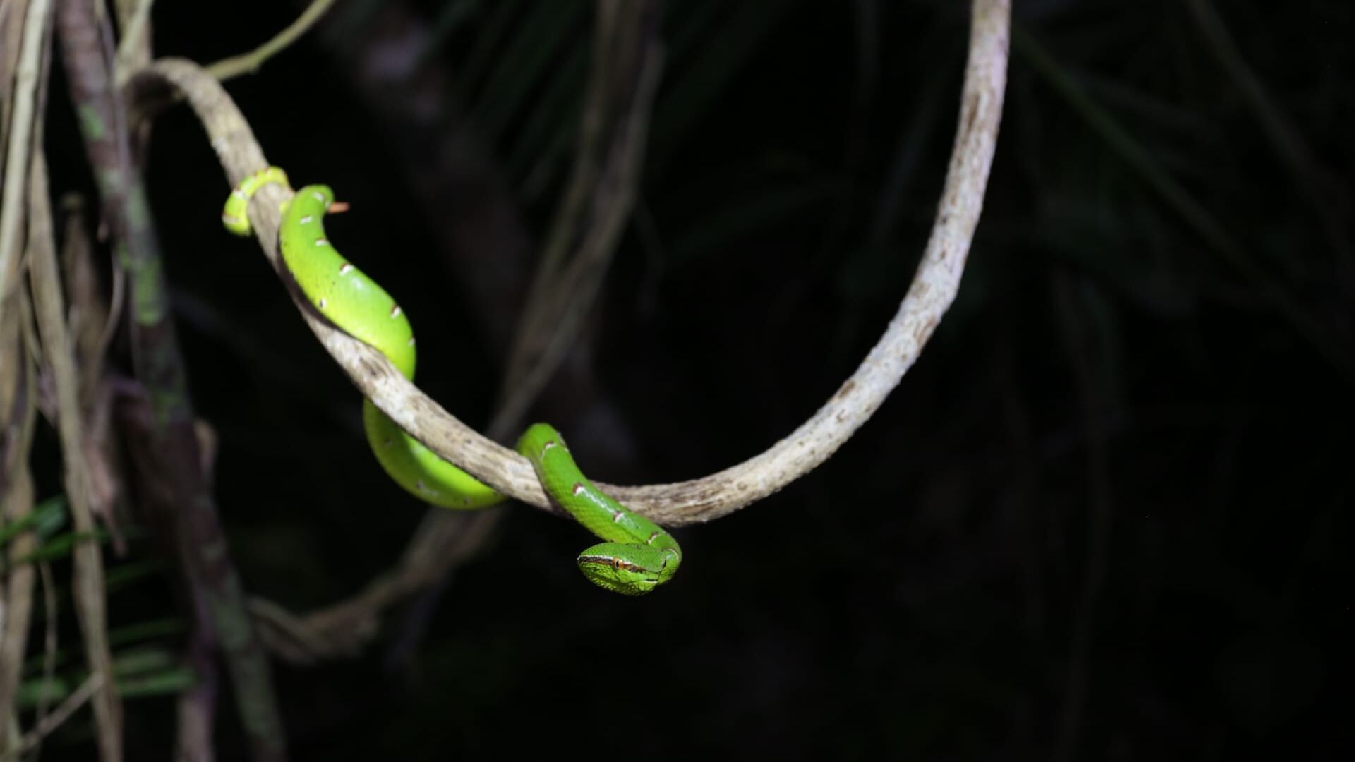 Merveilles cachées