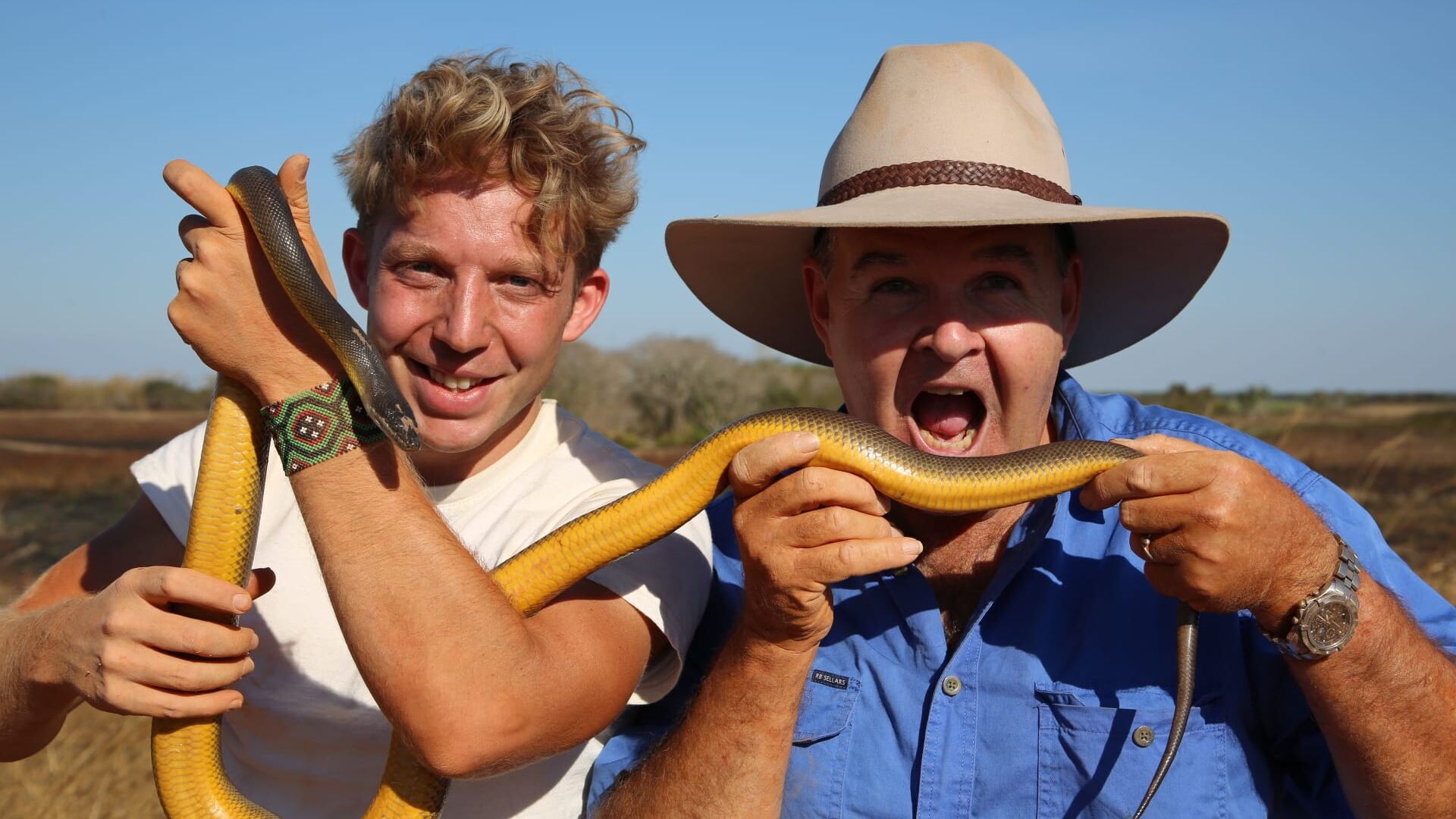 Sur les traces du python fantôme