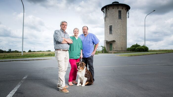 Dr Cath & Co