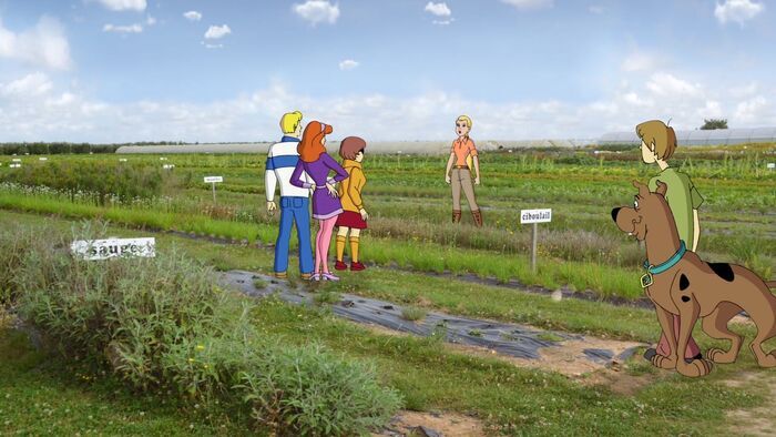 L'agriculture bio