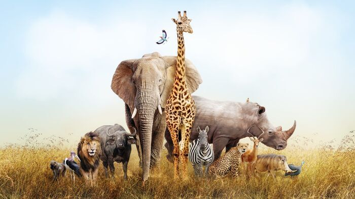 De la fiction à l'extinction réelle