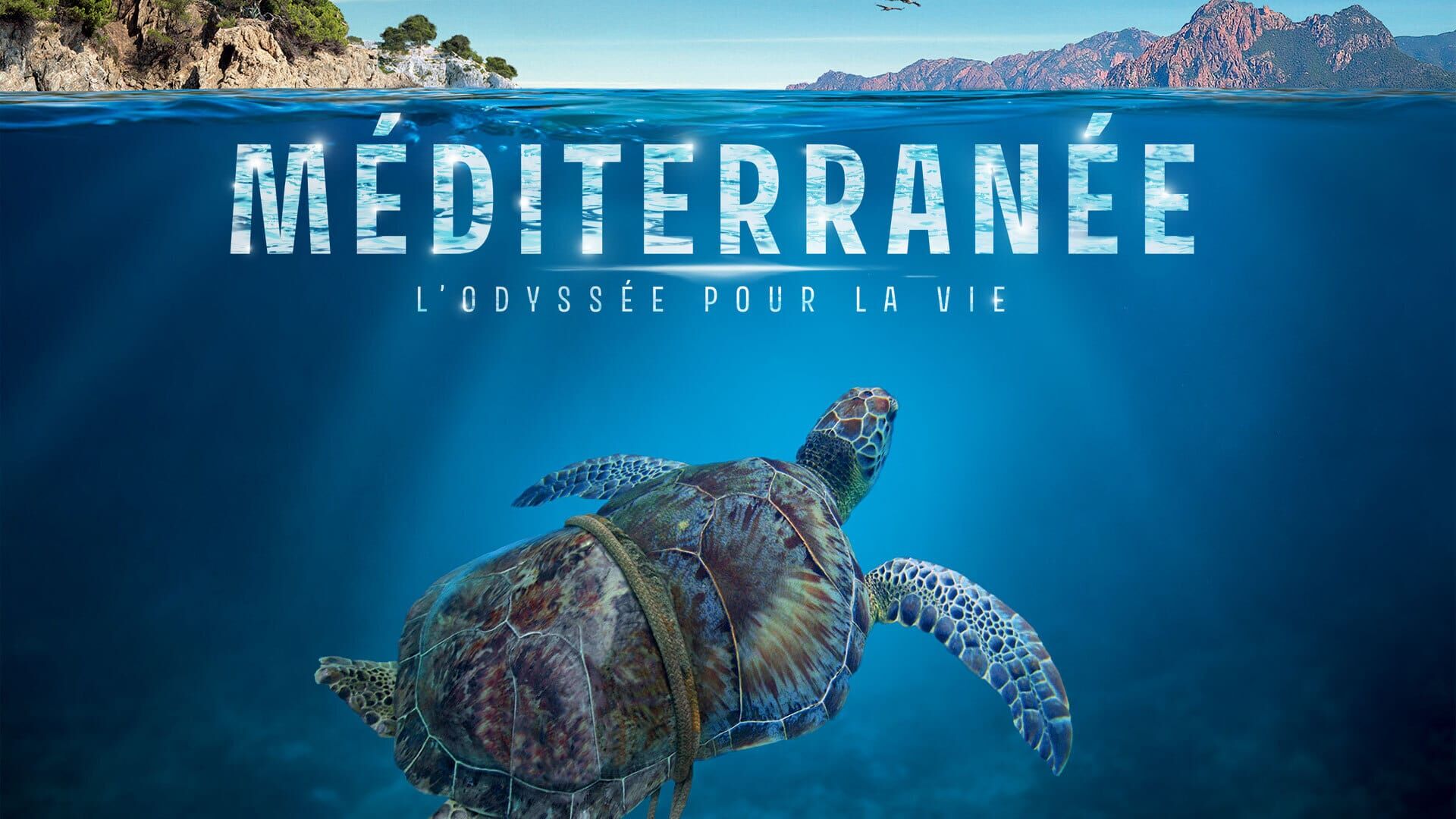 Mettre au monde