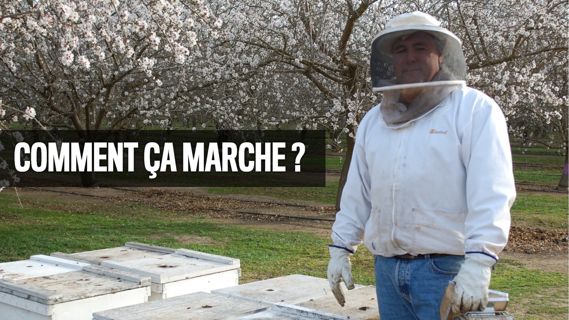 Chasseur / Bières de trappiste / SUV