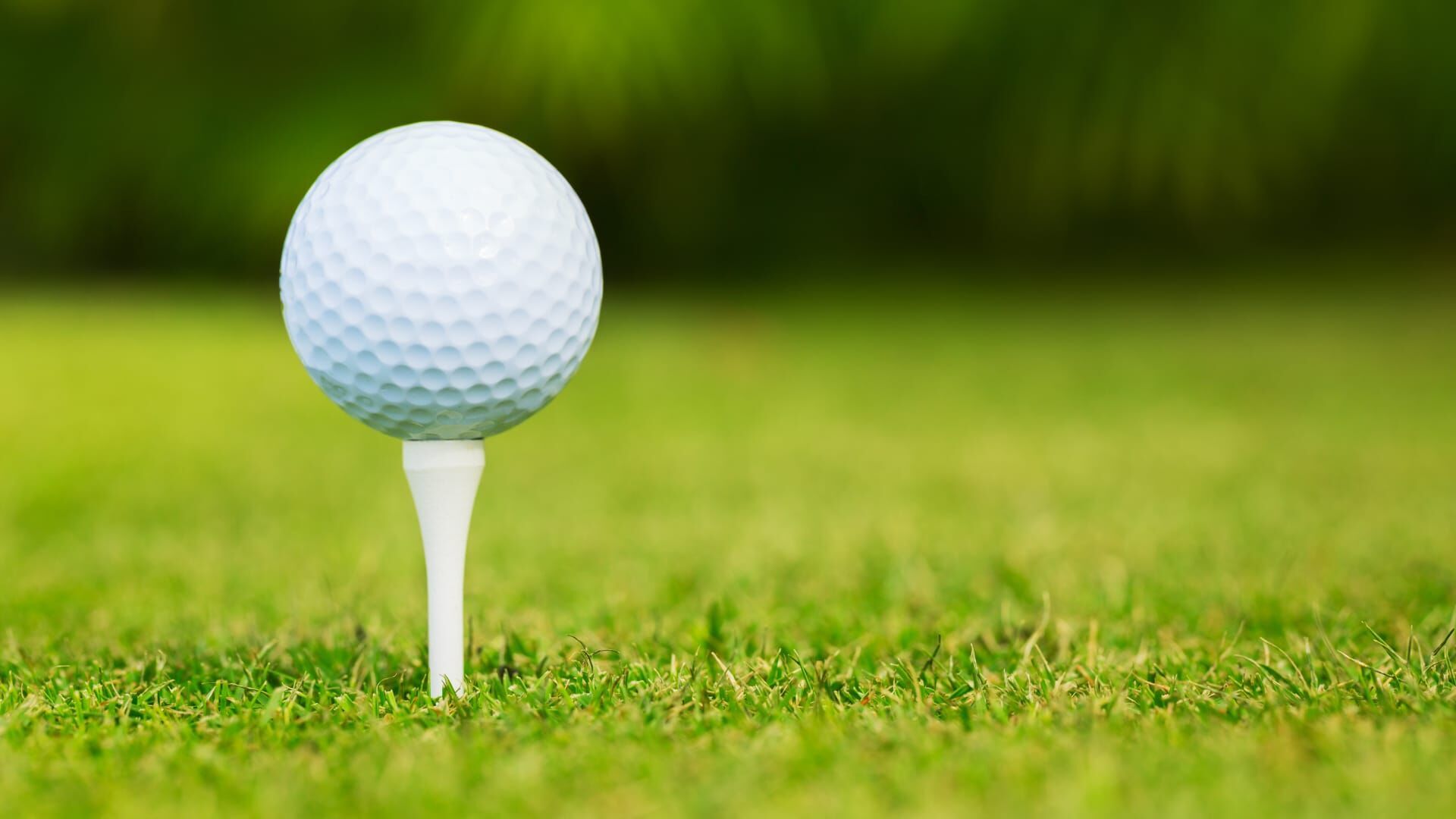 Golf : Ford Championship
