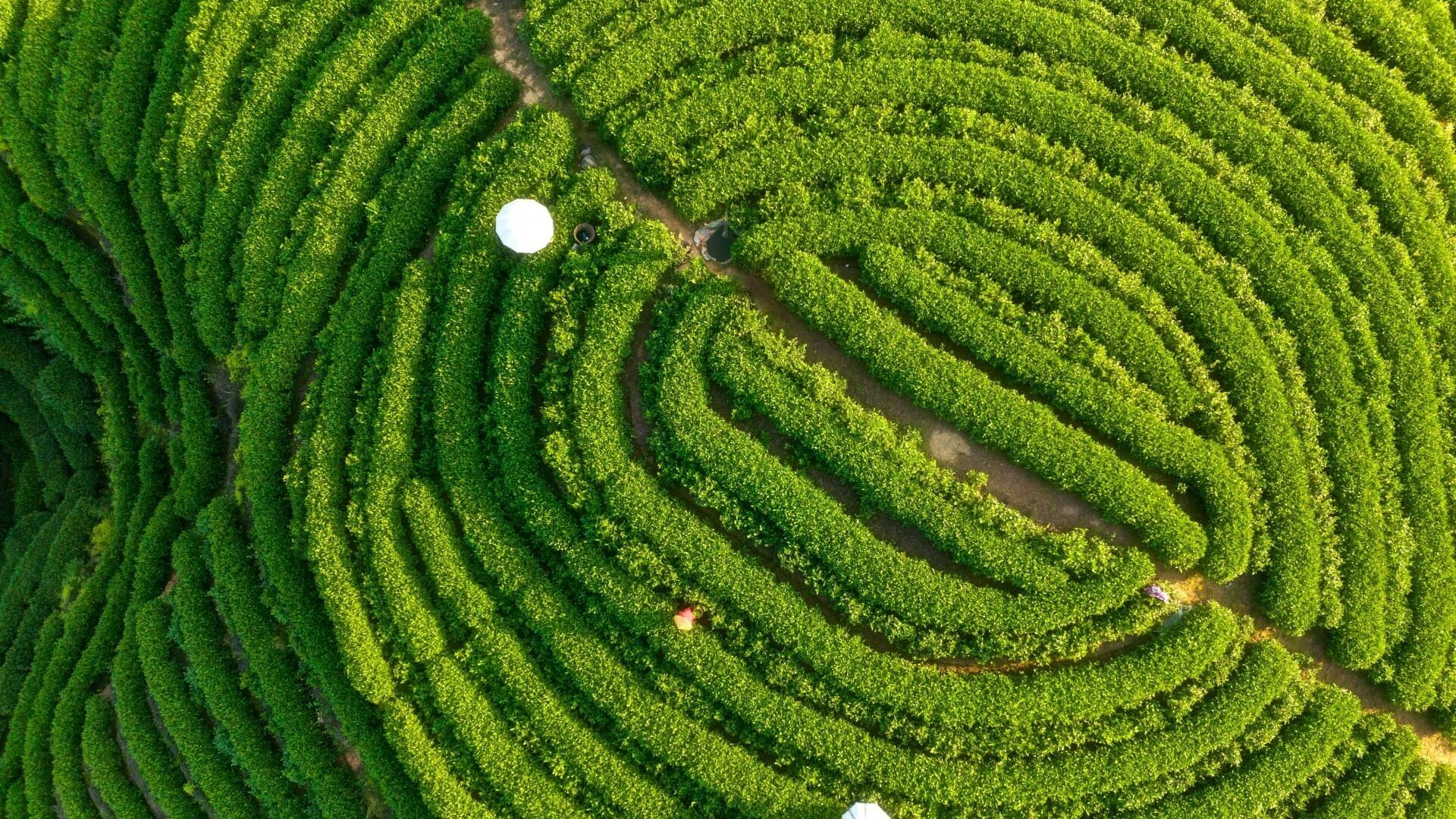 Anciennes voies commerciales