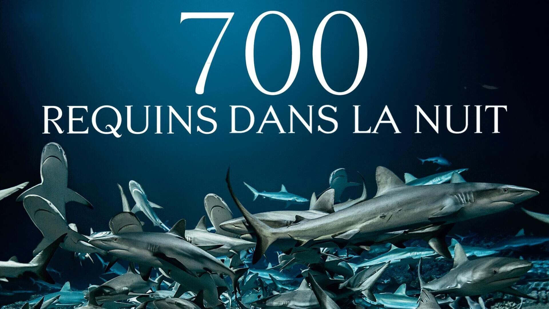 700 requins dans la nuit