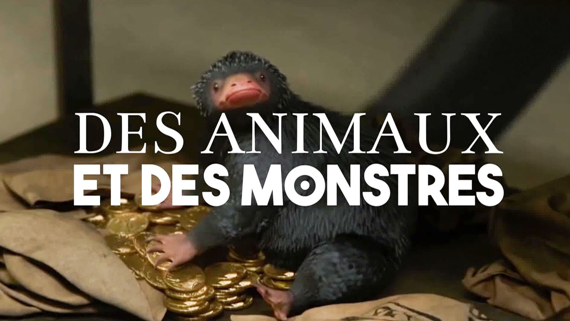Des animaux et des monstres