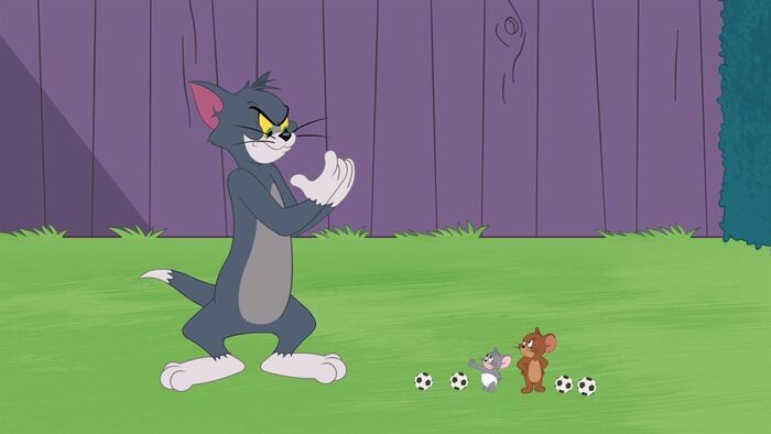 La passion du football
