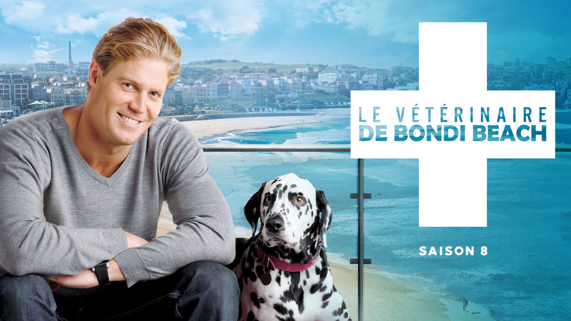 Le vétérinaire de Bondi Beach