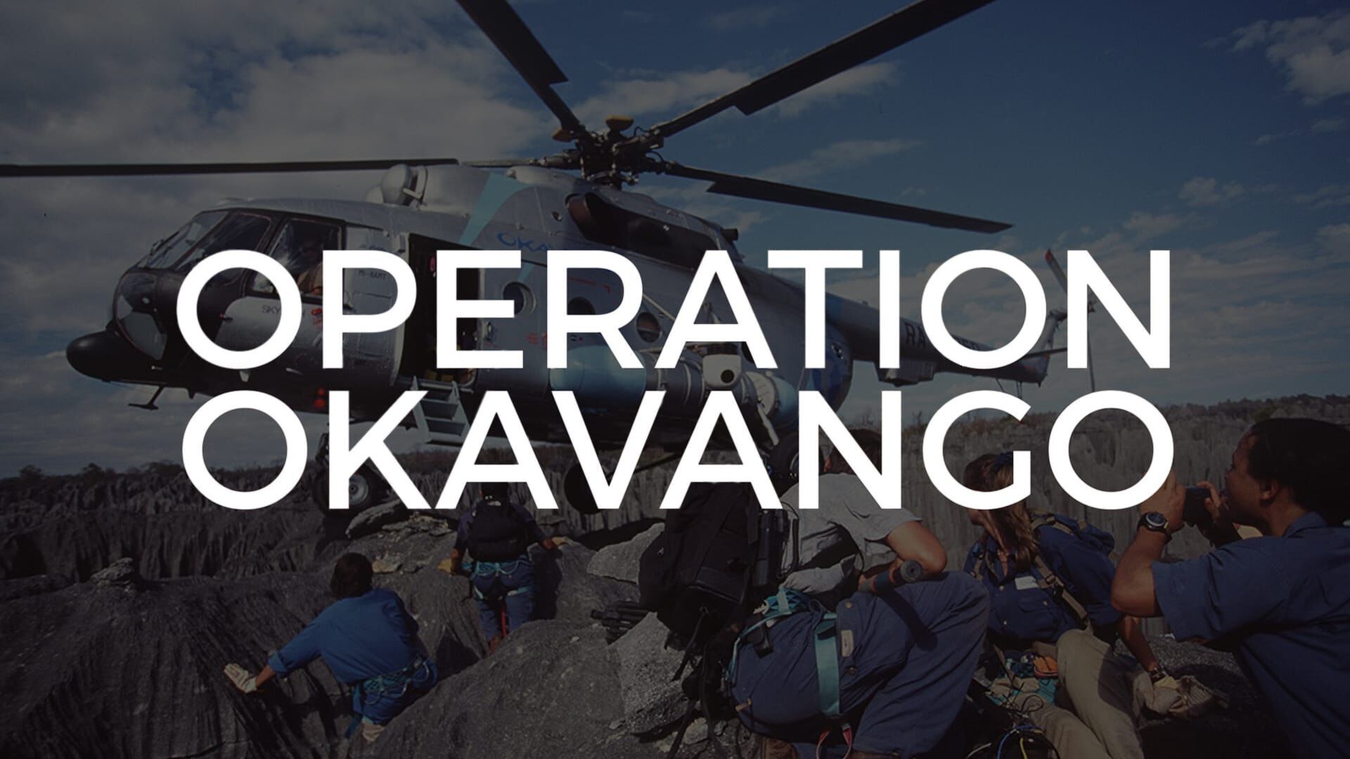 La grande forêt équatoriale (Congo/Gabon)