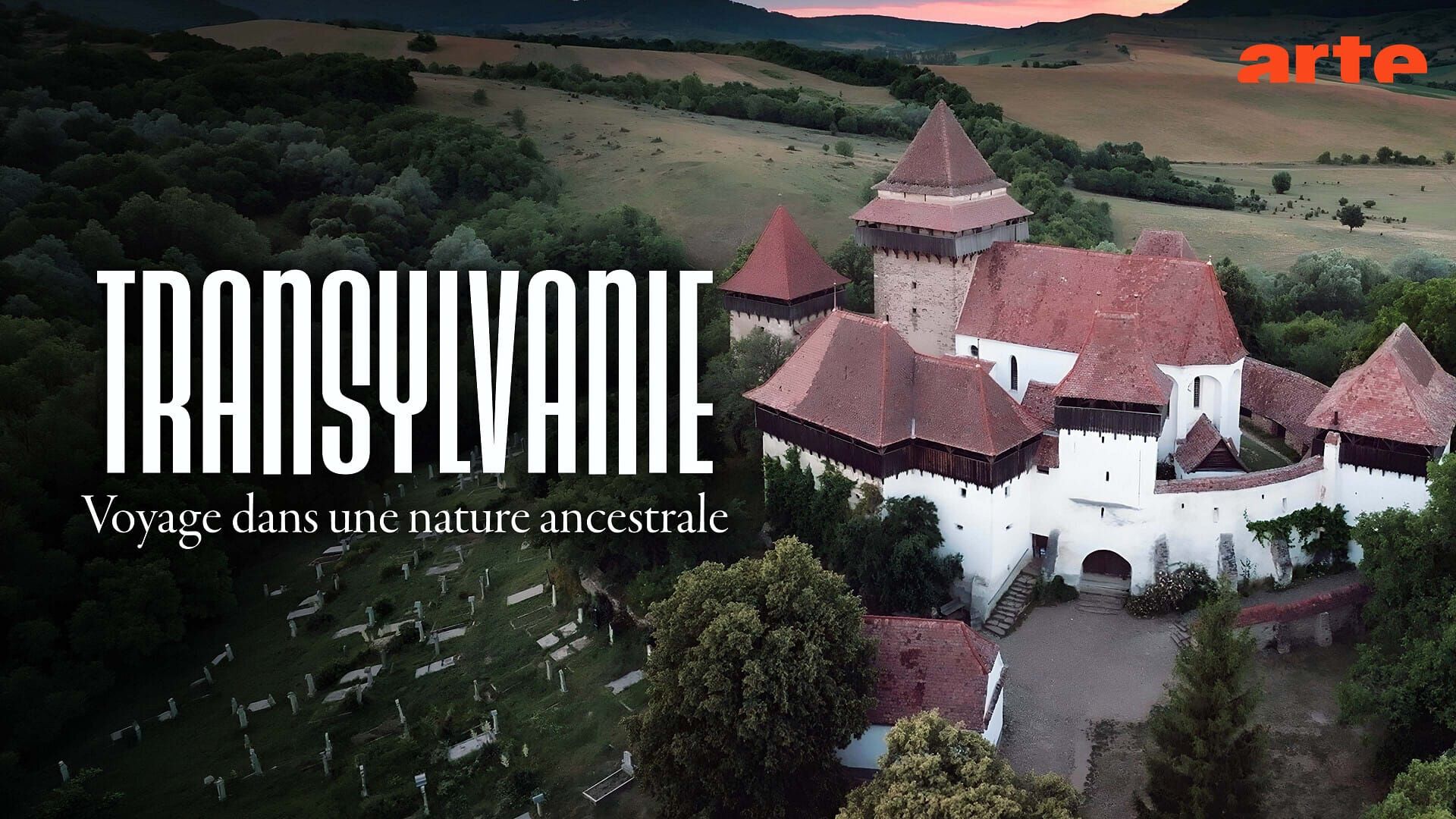 Transylvanie : Voyage dans une nature ancestrale
