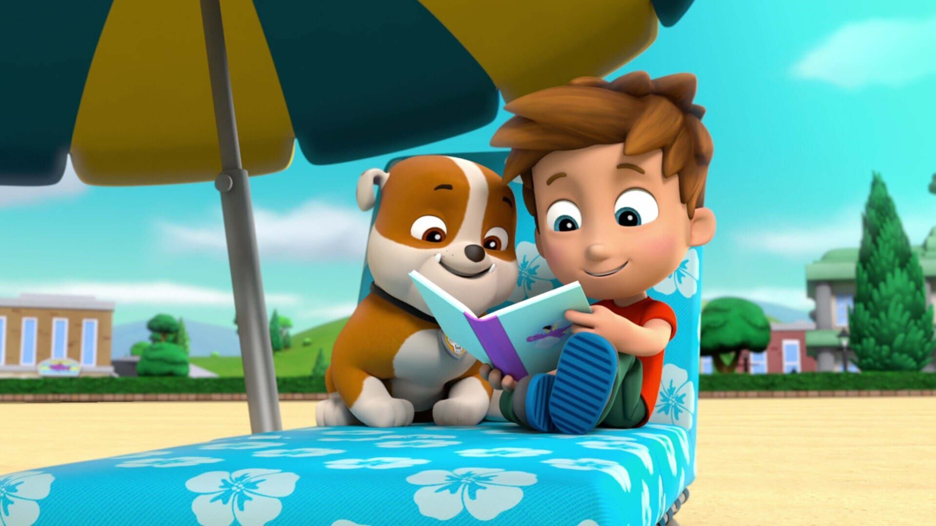 Le spectacle des chats