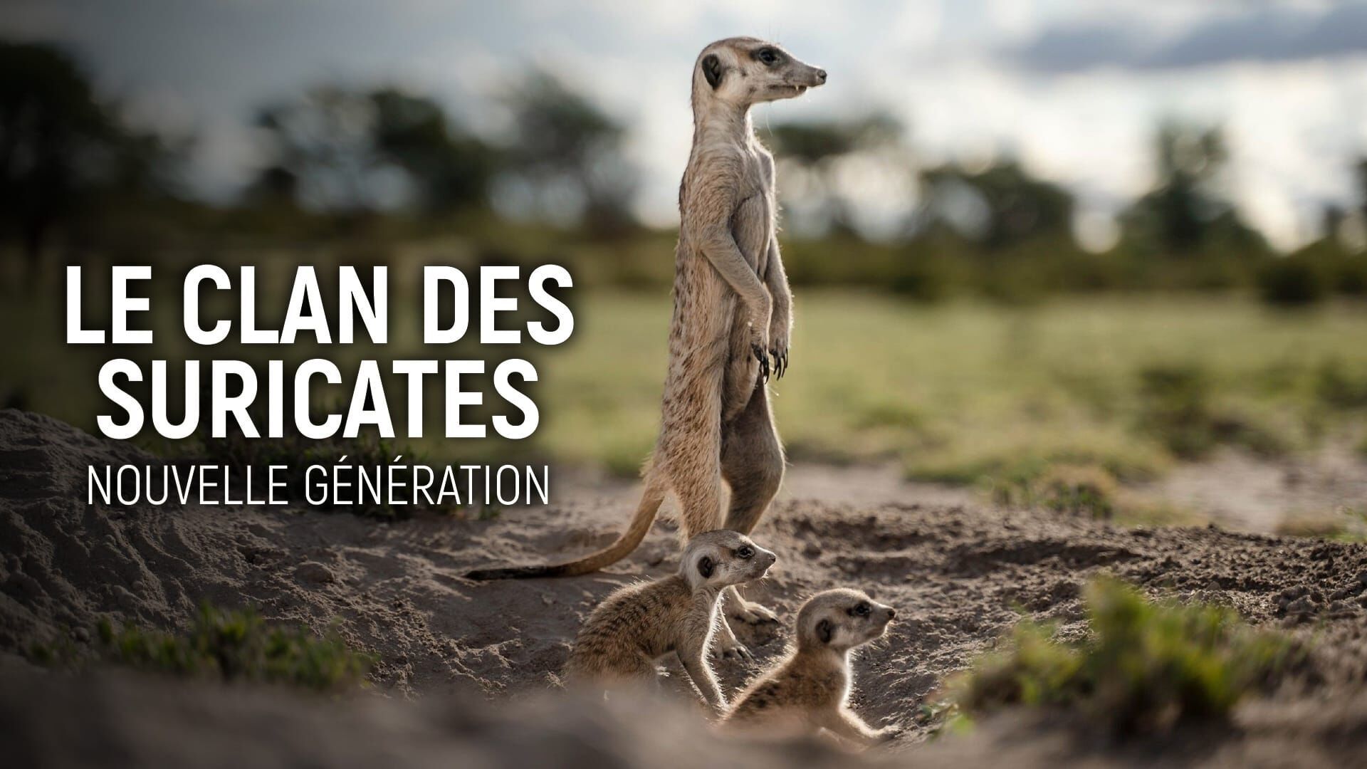 Chacun cherche son toit